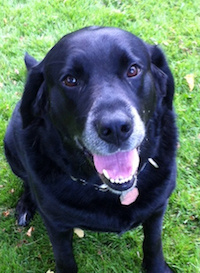 Face-forward photo showing eyes and whorls