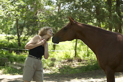 Playful horse and owner